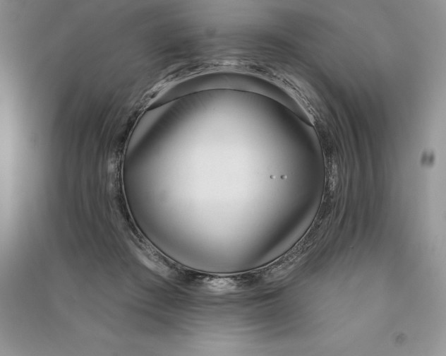 X0000090610409200708141355