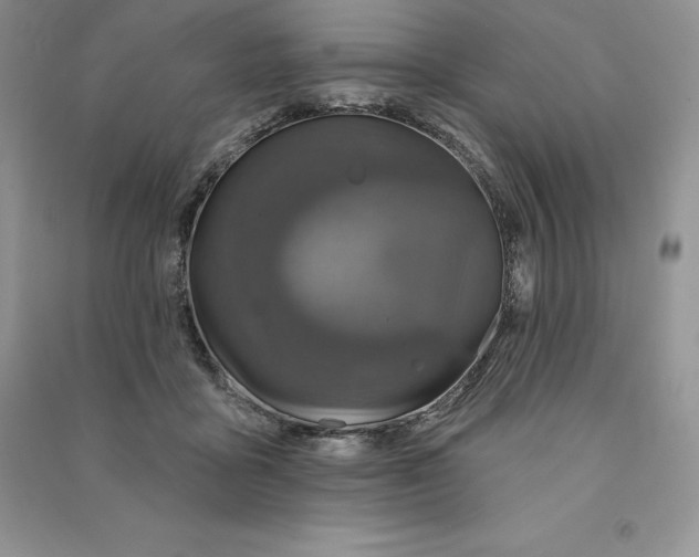 X0000090610411200708141355