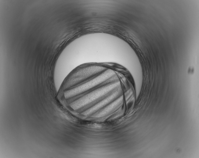 X0000090610412200708141355