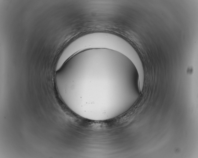 X0000090610415200708141355