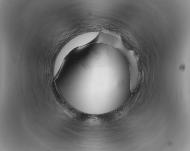 X0000090610416200708141355