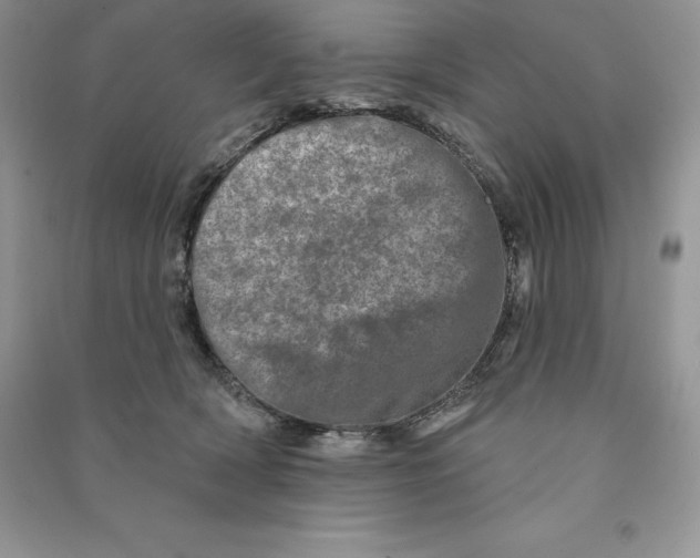 X0000090610418200708141355