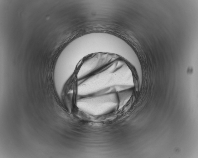 X0000090610419200708141355