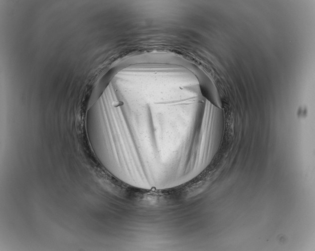 X0000090610420200708141355