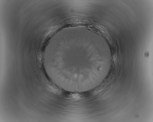 X0000090610423200708141355