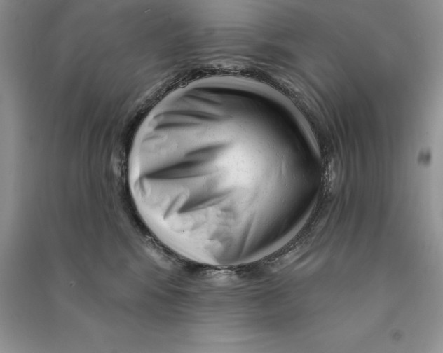 X0000090610424200708141355