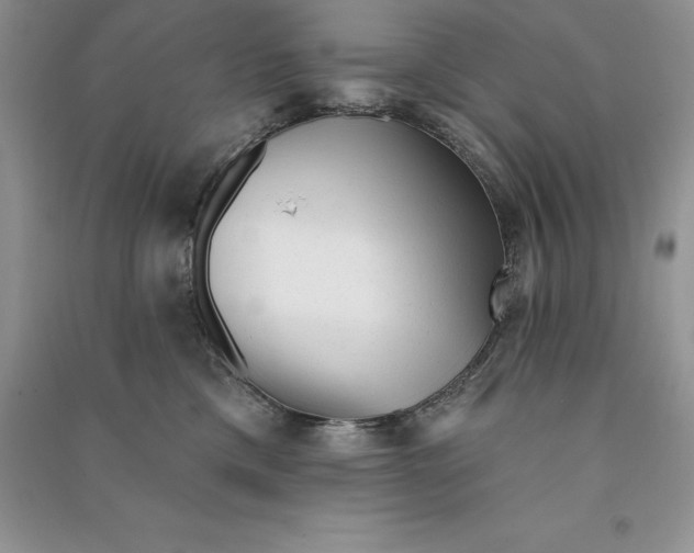 X0000090610425200708141355