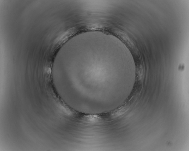 X0000090610427200708141355