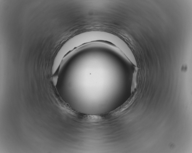 X0000090610429200708141355