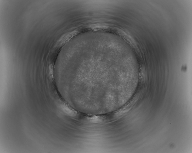 X0000090610430200708141355