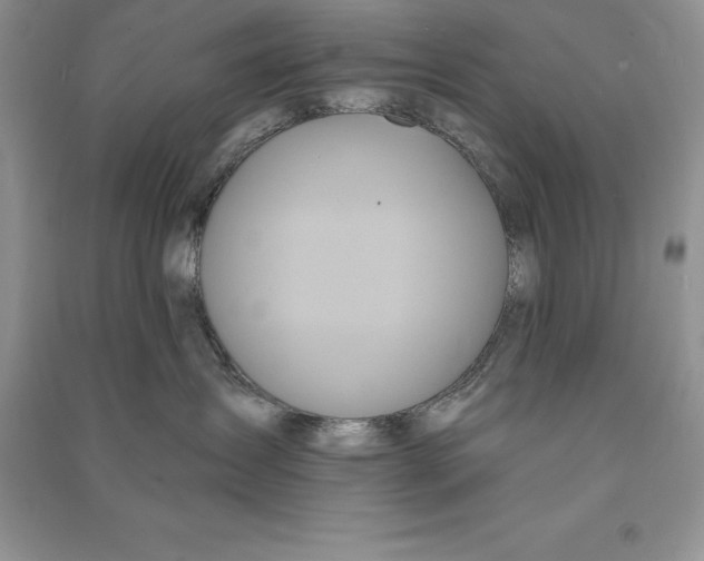 X0000090610431200708141355