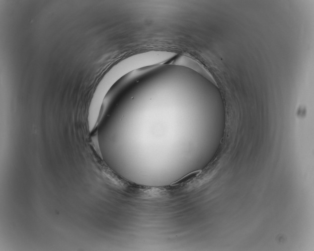 X0000090610432200708141355