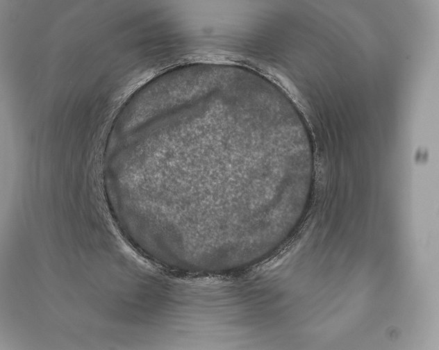 X0000090610433200708141354