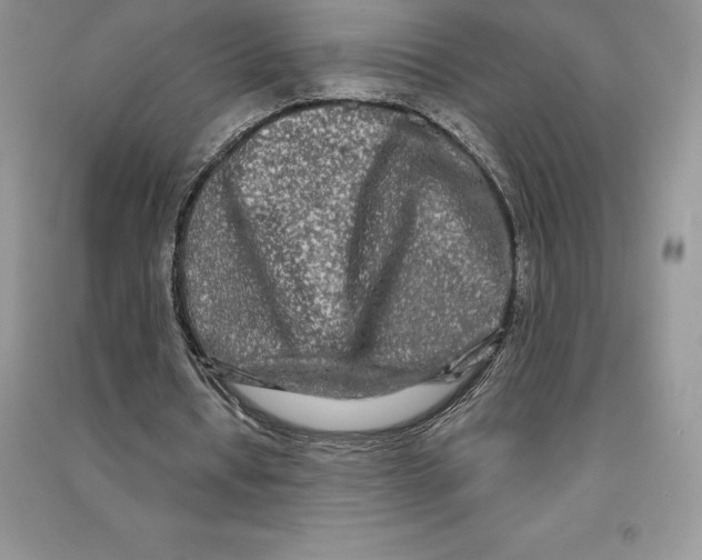 X0000090610434200708141354