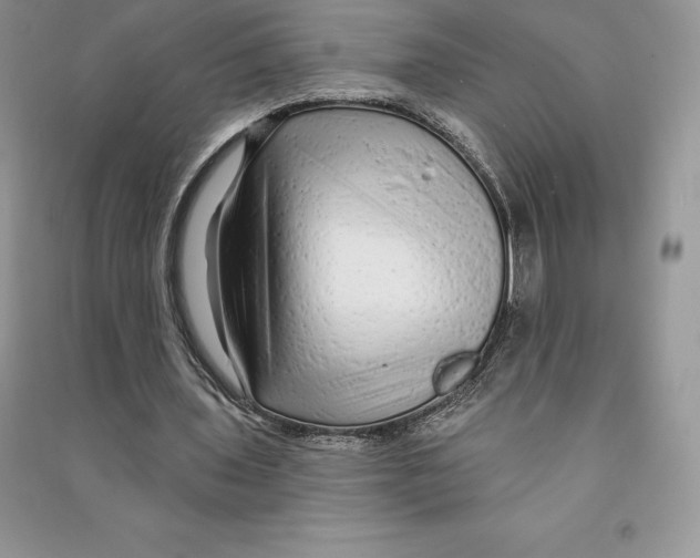 X0000090610435200708141354