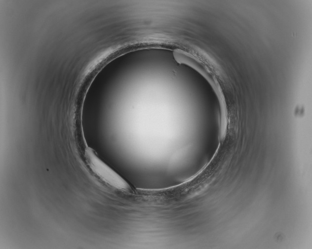 X0000090610436200708141354