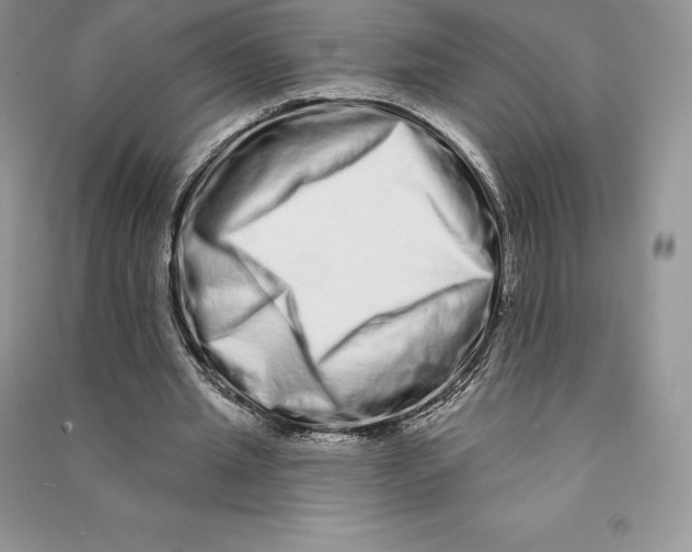 X0000090610437200708141354