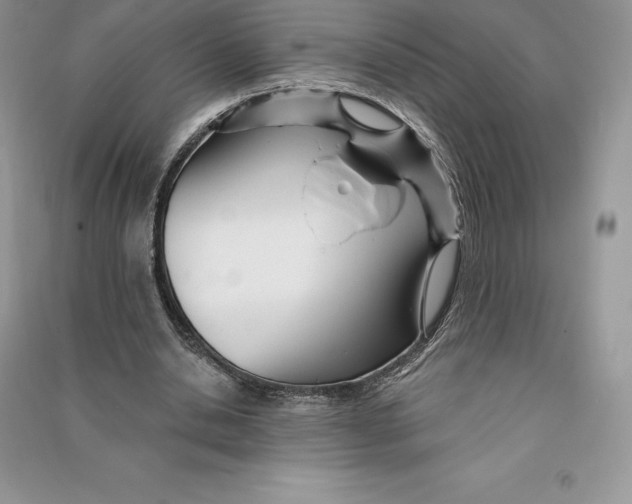 X0000090610438200708141354