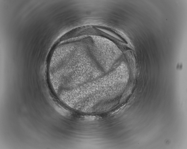 X0000090610439200708141354