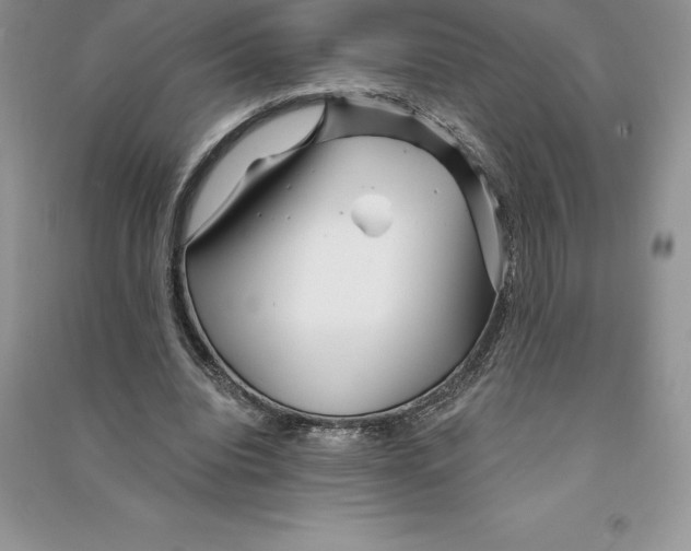 X0000090610440200708141354