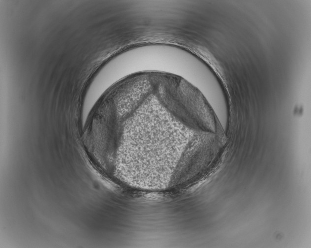 X0000090610441200708141354