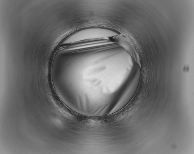 X0000090610442200708141354