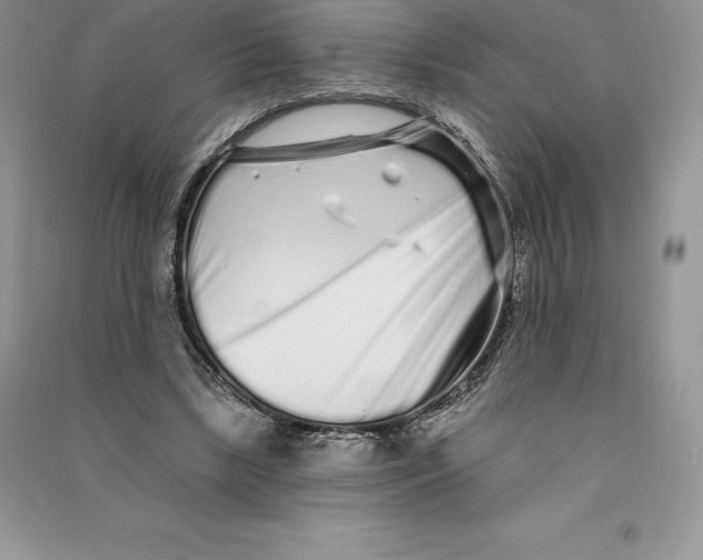 X0000090610443200708141354