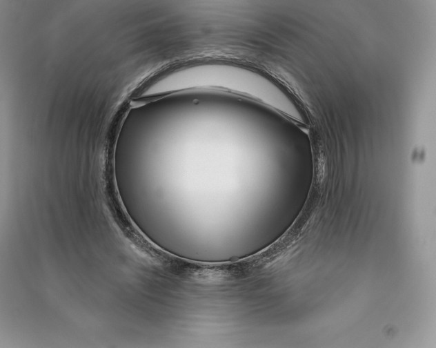 X0000090610444200708141354