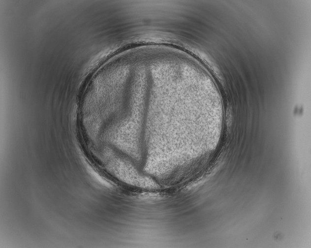 X0000090610445200708141354