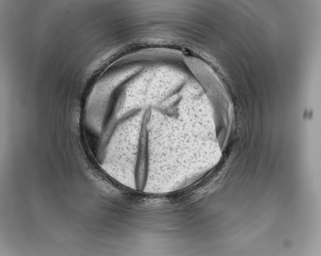 X0000090610446200708141354