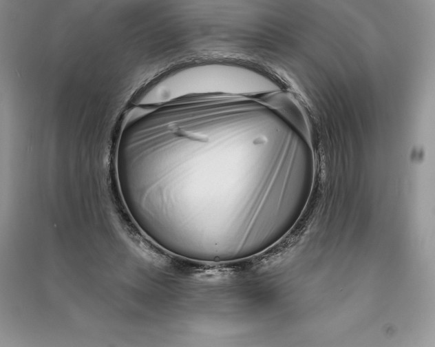 X0000090610447200708141354