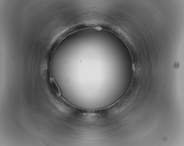 X0000090610448200708141354