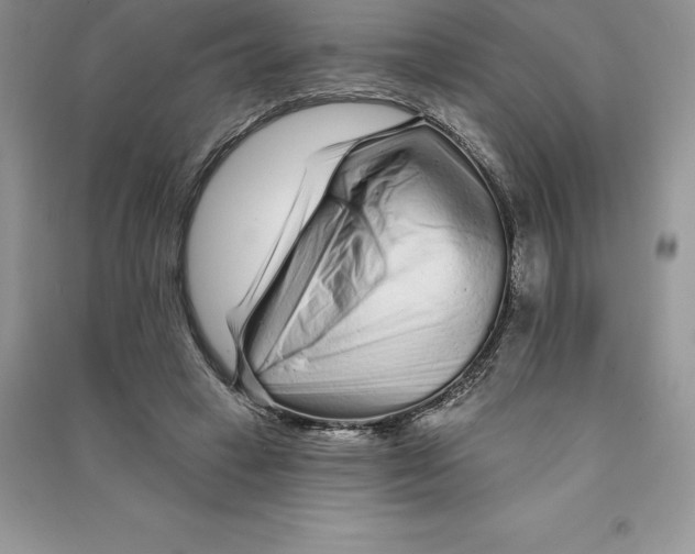 X0000090610449200708141354