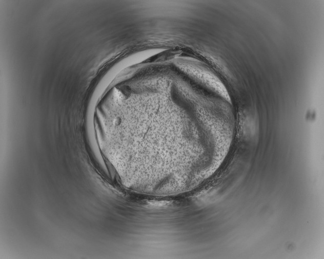 X0000090610450200708141354