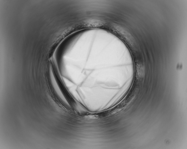 X0000090610451200708141354