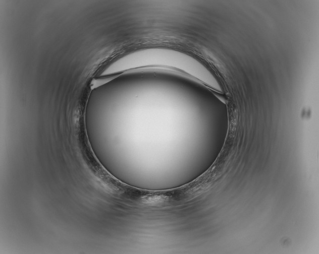 X0000090610452200708141355