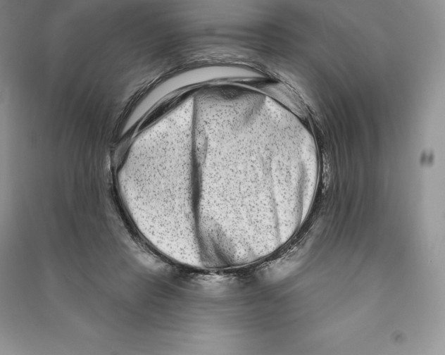 X0000090610453200708141355