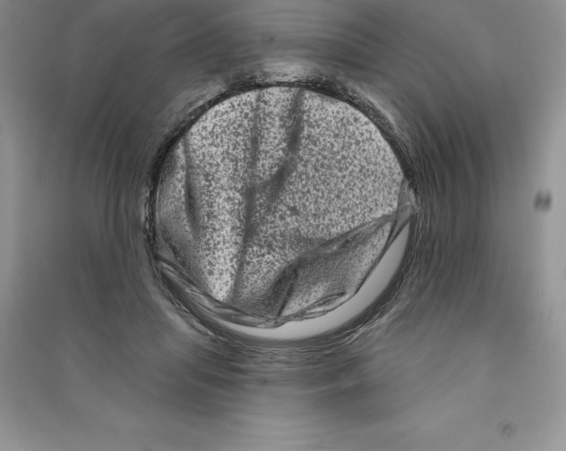 X0000090610455200708141355