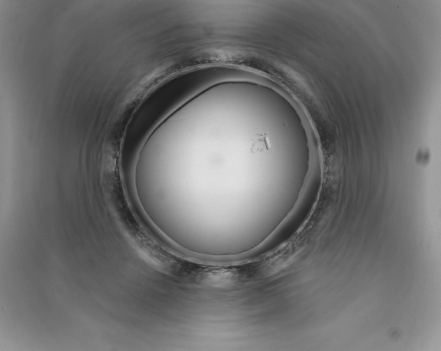 X0000090610456200708141355