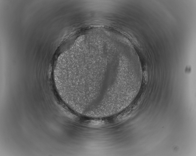 X0000090610458200708141355