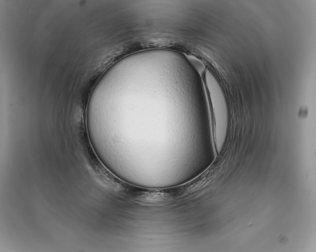 X0000090610459200708141355