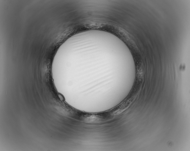 X0000090610460200708141355