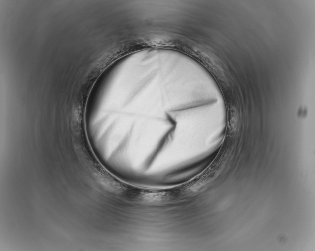 X0000090610461200708141355