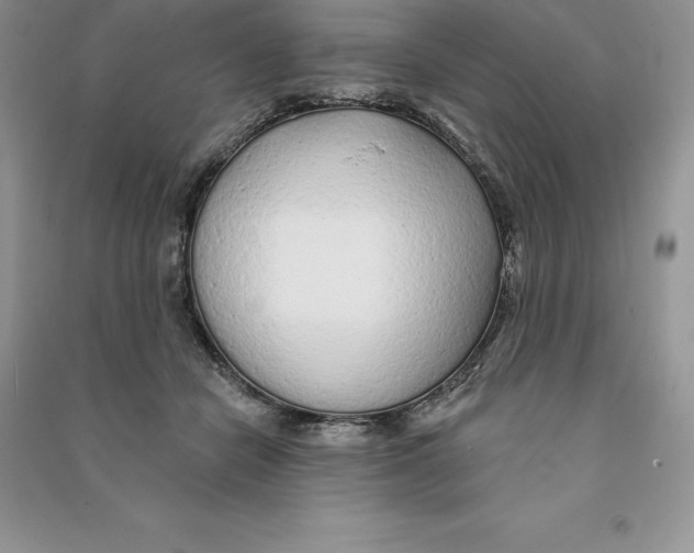 X0000090610462200708141355