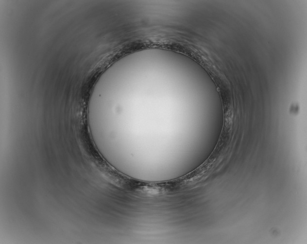 X0000090610464200708141355