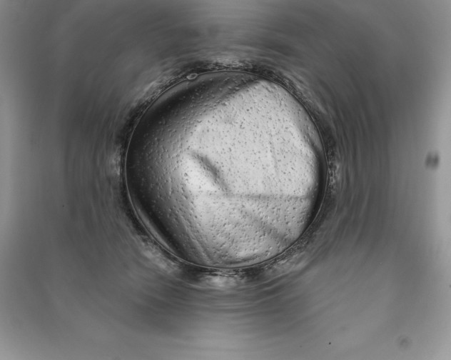 X0000090610466200708141355