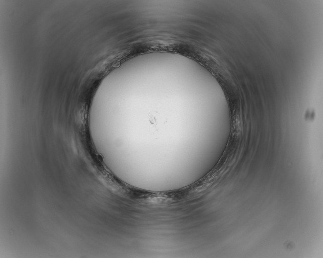 X0000090610468200708141355