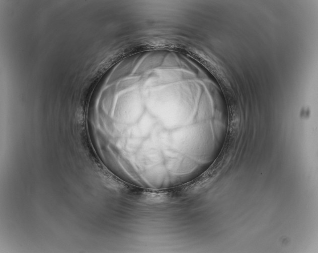 X0000090610469200708141355