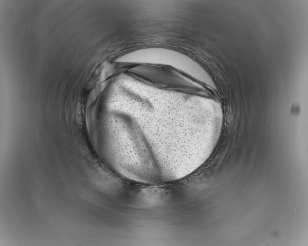 X0000090610470200708141355