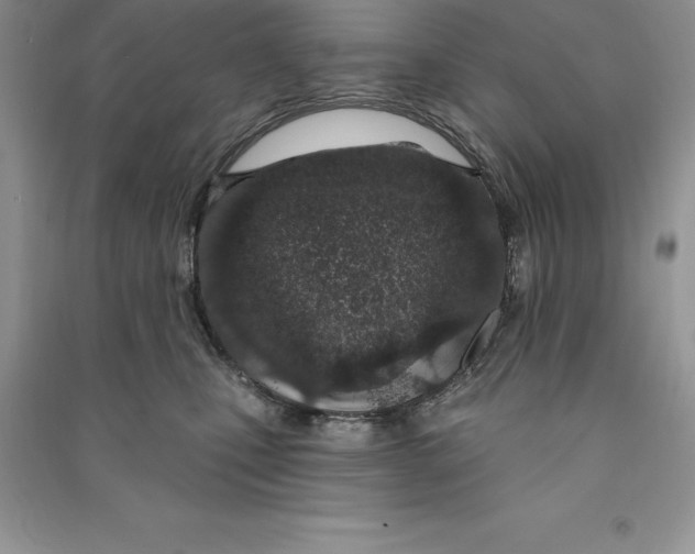 X0000090610471200708141355